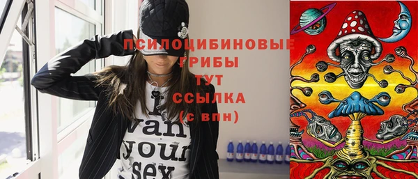 гидра Кулебаки