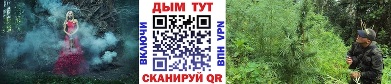 Марихуана THC 21% Арзамас